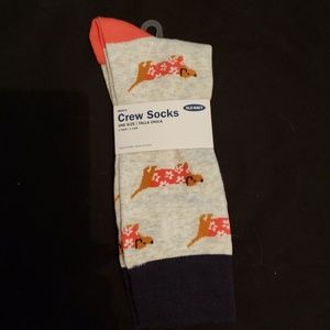 Dachshund Socks